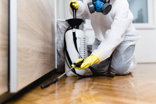 Best Termite Control Services  in Webberville, MI