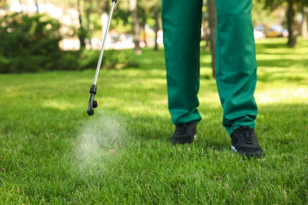 Best Affordable Pest Control Services  in Webberville, MI