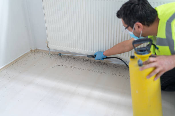 Best Pest Removal Services  in Webberville, MI