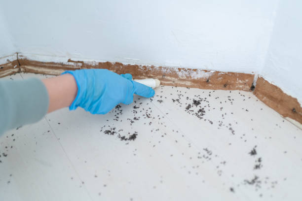 Best Best Pest Control Companies  in Webberville, MI